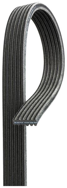 V-Ribbed Belt