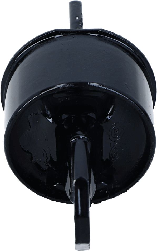 Bushing, Control Arm Rear Axle