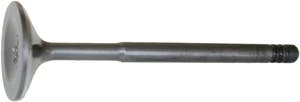 Intake Valve