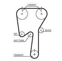 Water Pump & Timing Belt Kit