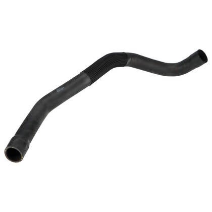 Radiator Hose, Lower Radiator - Thermostat Housing