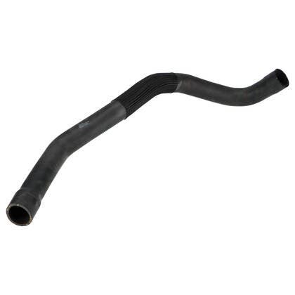 Radiator Hose, Lower Radiator - Thermostat Housing