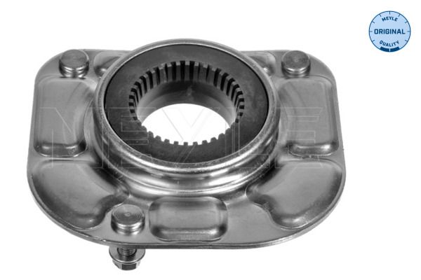 Suspension Strut Support Bearing