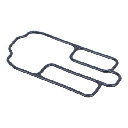 Gasket, Steering Throttle blade