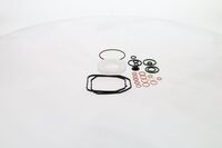 Repsats insprutningspump