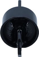 Bushing, Control Arm Rear Axle