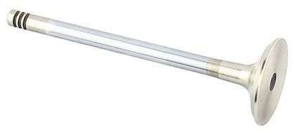 Exhaust Valve