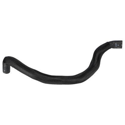 Radiator Hose, Lower